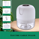 Mini Processador Triturador Sem Fio Elétrico 250ML De Alimentos Para Legumes Alho Gengibre